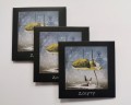 zolyty3